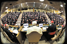 vaticano sinodo