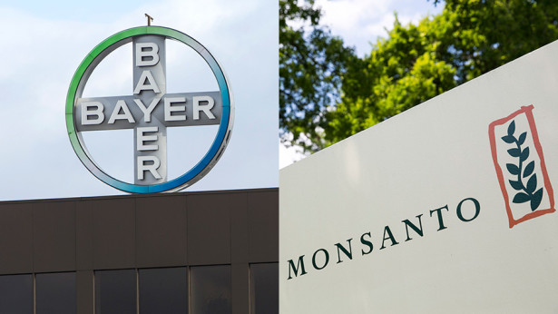 Resultado de imagen para Bayer Monsanto
