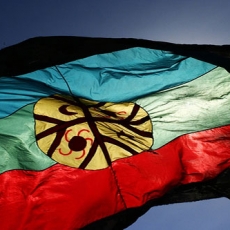 bandera-Mapuche_230x230